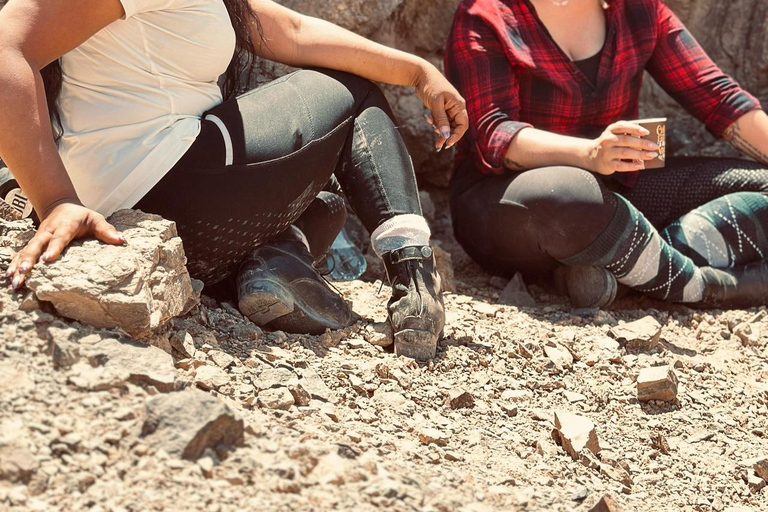 الغردقة: جولة ركوب الخيل في الصحراء والبحر مع خيار السباحةجولة لمدة ساعتين لركوب الخيل بدون السباح