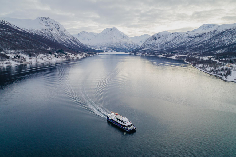 Tromsø : Croisière dans les fjords de l'Arctique dans les paysages polaires