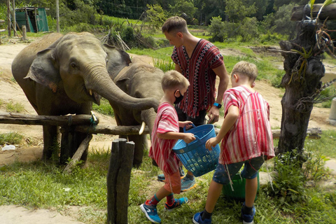 The Must-Do: Authentic Elephant & Village Life in Chiang Mai