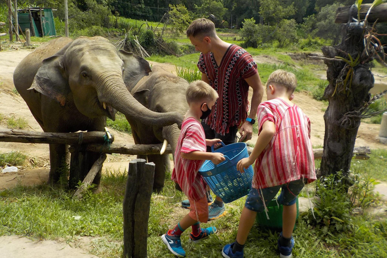 The Must-Do: Authentic Elephant & Village Life in Chiang Mai