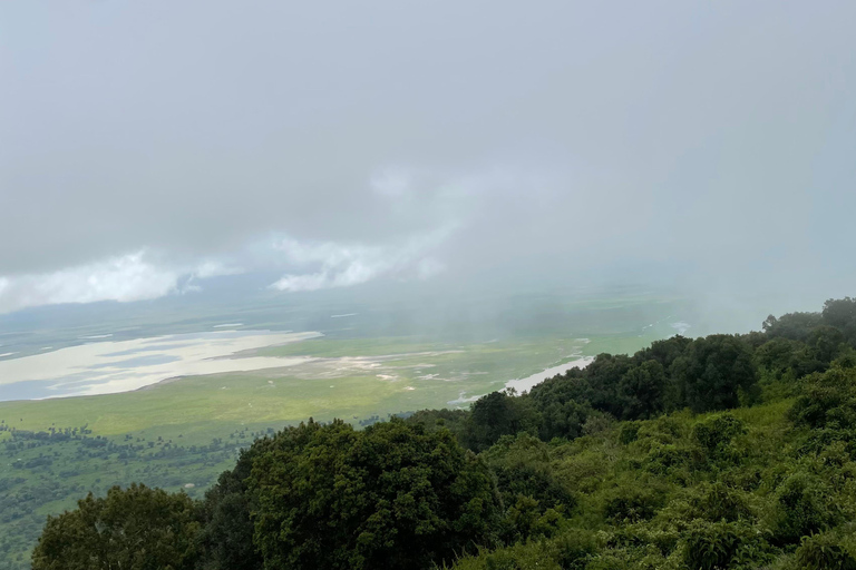 Arusha: Ngorongoro Crater Day Trip with Game Drive