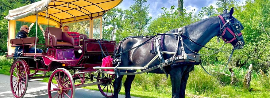 Visite Privative du Parc National de Killarney