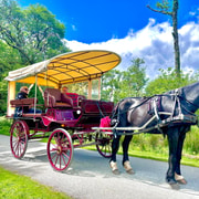 Killarney National Park Private Tour Killarney National Park Private Tour