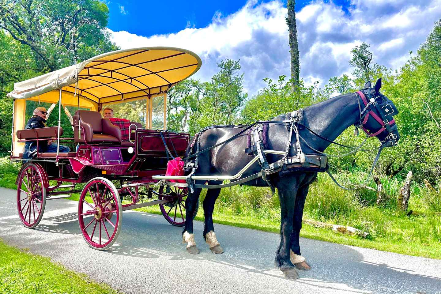 Killarney National Park Private Tour - Killarney National Park Private Tour
