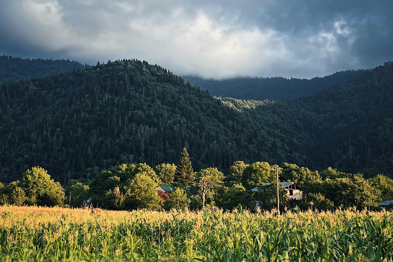Borjomi Bakuriani Day Group Tour Without Guide