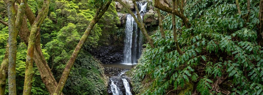 Île de São Miguel : excursion à la découverte des cascades des Açores