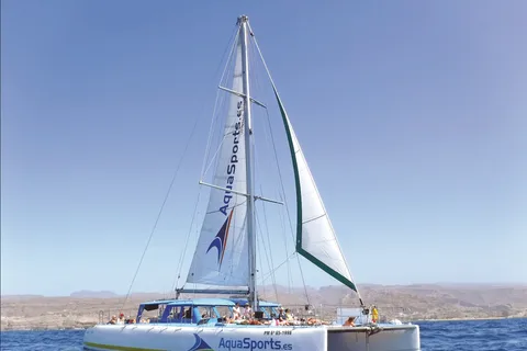 Puerto Rico: 4-Hour Catamaran Excursion in the South