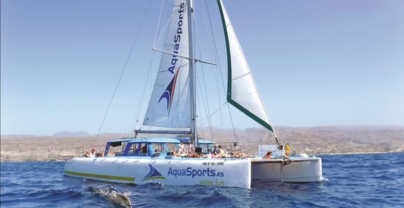 Puerto Rico: 4-Hour Catamaran Excursion in the South