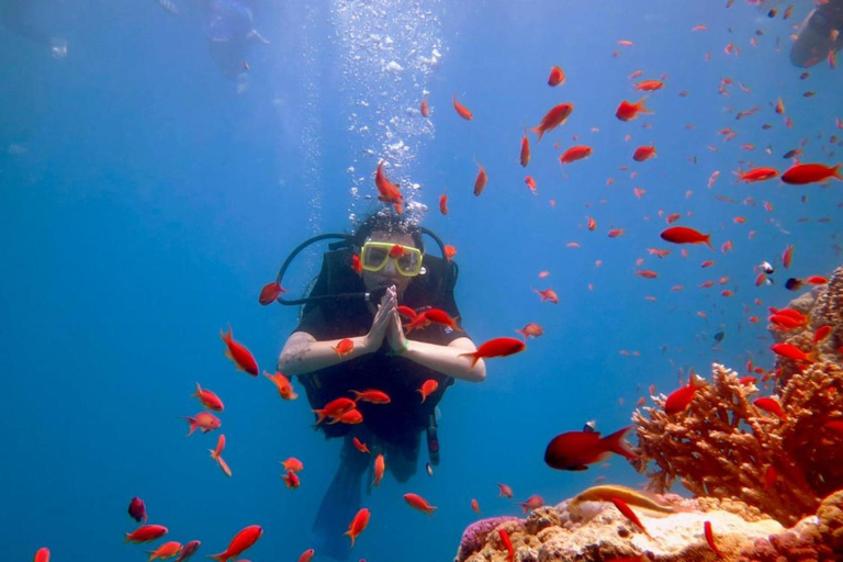 Sharm El Sheikh: Ras Mohamed Snorkeling & Diving Boat Trip Ras Mohamed & White Island – Snorkeling Package