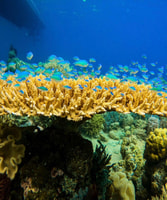 Labuan Bajo、Rangko Cave、Beach Snorkeling半日ツアー - Housity