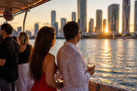 Miami: Millionaire's Row Cruise with Bay Swim Stop