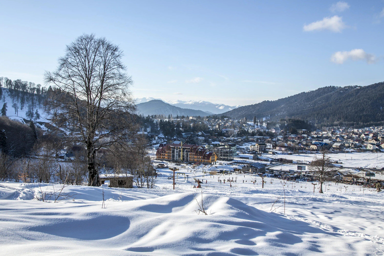 Tbilisi: Borjomi, Bakuriani & Kukushka Train Tour