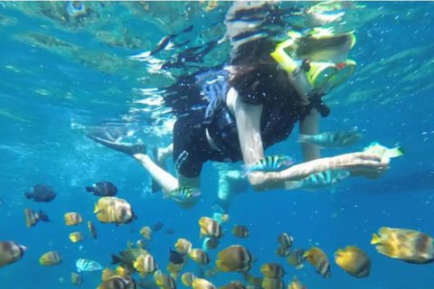 Nusa Penida: Snorkling till 3-4 platser med lokal guideSnorkling till 3-4 platser på Nusa Penida med lokal guide