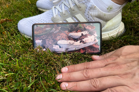 Wilde Schöhnheit - Ein Fotospaziergang durch die grünen Oasen in Weimar