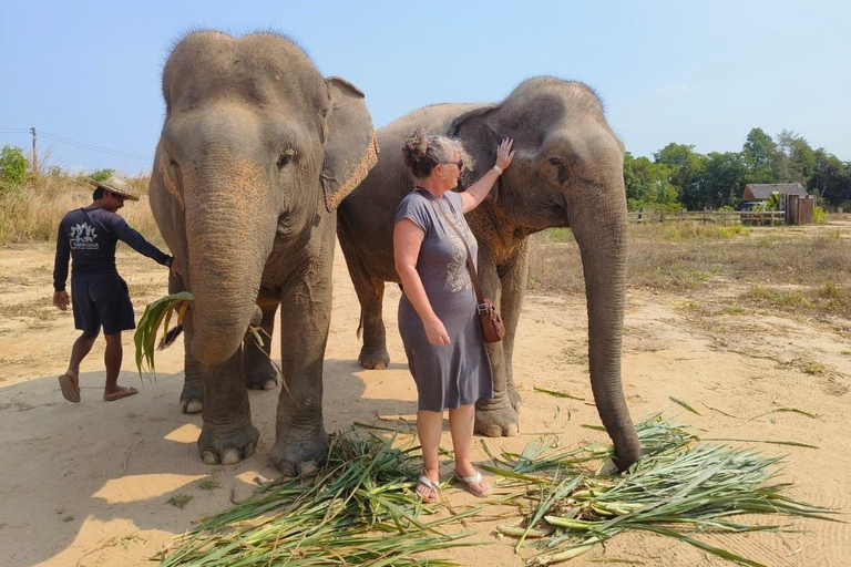 Tour en grupo reducido del Bosque de Elefantes de Kulen en Siem Reap