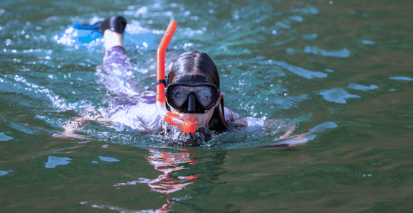 Muscat: 3 Hours Dolphin Watching and Snorkeling Tour