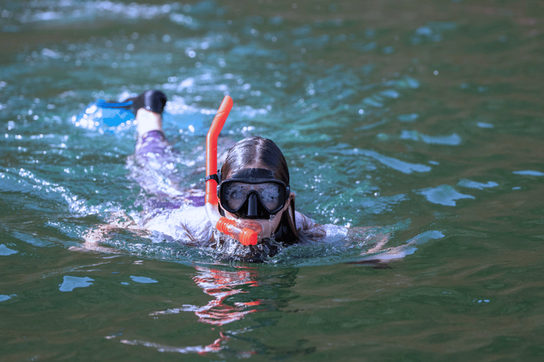 Mascate: tour di osservazione dei delfini e snorkeling di 3 ore