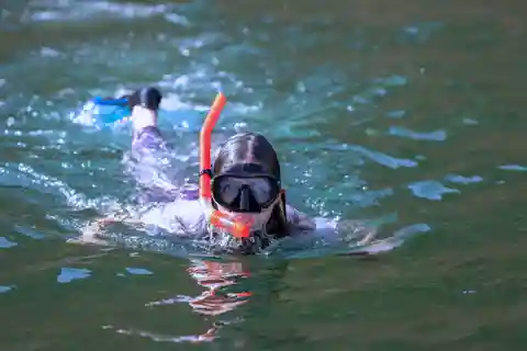 Mascate: tour di osservazione dei delfini e snorkeling di 3 ore