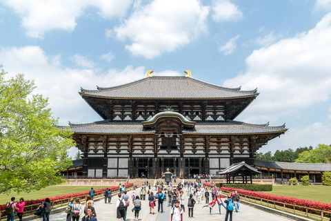 Paseo por el Patrimonio de Nara desde el Parque de Nara hasta el templo Todaji-jiTour privado