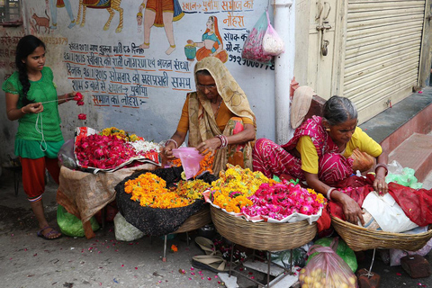 Udaipur: Private Half-Day Tour by Tuk-Tuk or CarHalf-Day Tour by Tuk-Tuk