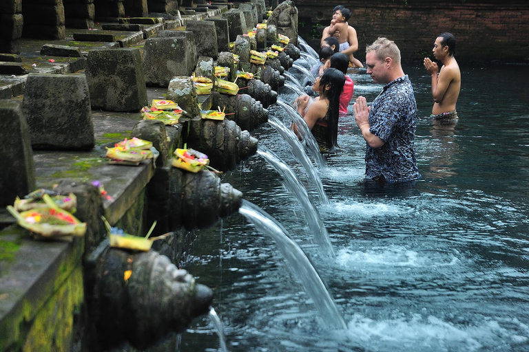 Bali Central: Excursión a la Aldea de Ubud, la Terraza de Arroz y KintamaniRecorrido con Entradas