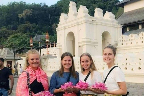 From Colombo/Negombo: Kandy ,Pinnawala ,Tea Factory Day Tour