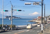 Excursión del día de Kamakura Temple & Enoshima - Hizvo