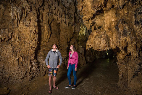 Auckland: Hobbiton, Waitomo Caves, and Rotorua 1-Way Tour