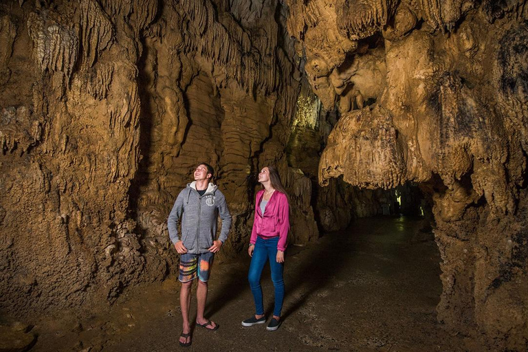 Auckland: Hobbiton, Waitomo Caves, and Rotorua 1-Way Tour