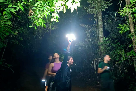 Khao Sok: Trekking privado de um dia, jantar na selva e safári noturno