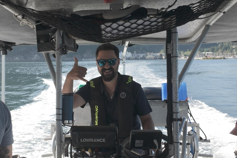 Snorkel Focas Remando Vida Salvaje Tour en barco en Vancouver