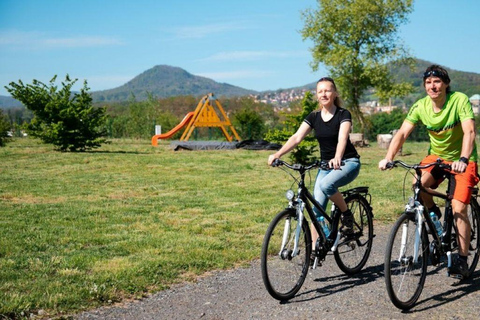 Bad Schandau: Wycieczka rowerowa i kajakowa do DěčínaRower turystyczny