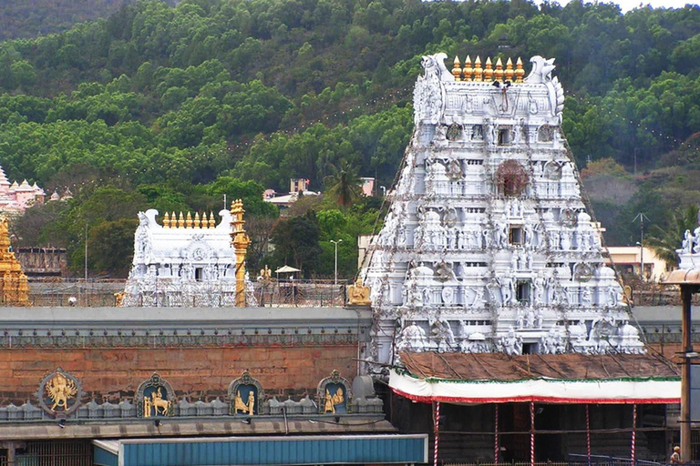 From Bangalore: Tirupati & Sri Kalahasti 2-Day Temple Tour