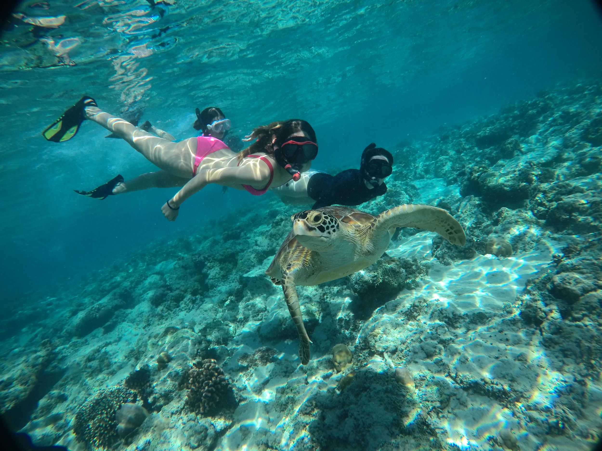 Lombok: Schnorcheltour zu den Gili-Inseln mit Hotelabholung
