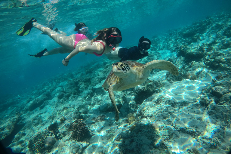 Lombok: Gili Islands Snorkeling Tour with Hotel Pickup Provate snorkling gili island with camera underwater