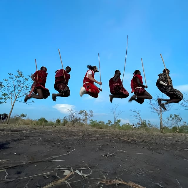 3 Días y 2 Noches Excursión a los Masai y al Parque Nacional de Mikumi GetYourGuide