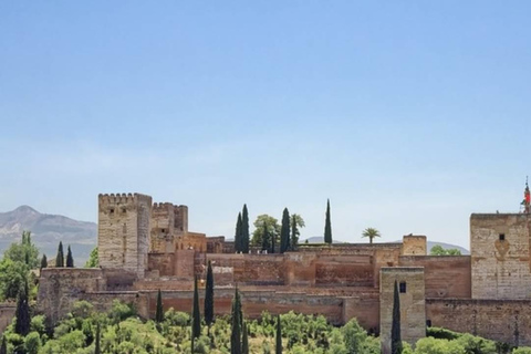 Granada: Tour dell&#039;Alhambra e dei Palazzi Nasridi senza biglietto