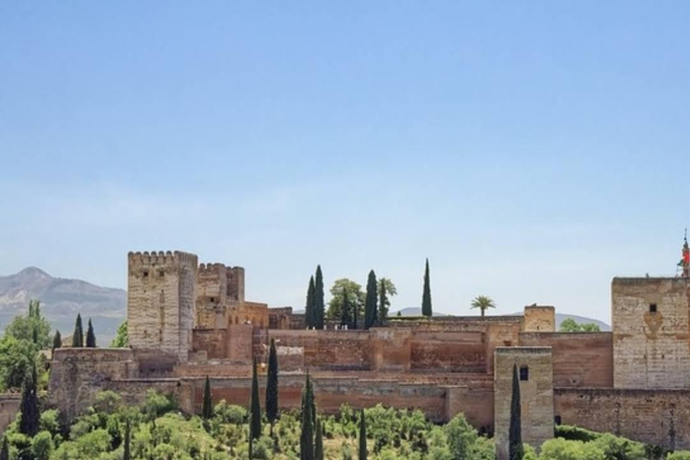 Granada: Alhambra en Nasrid Paleizen Tour zonder Tickets