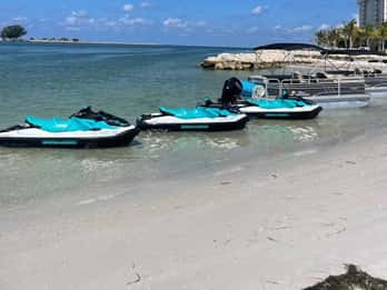 Clearwater: 1 Hour Jetski Dolphin Tour with Guide