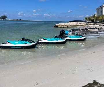 Clearwater: 1 Hour Jetski Dolphin Tour with Guide