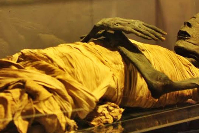 Cairo: NMEC Royal Mummies Hall Tour with Guide & Transfers NMEC Royal Mummies Hall with Multilangual Guide & Transfers