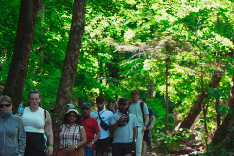 Zadar : Visite guidée des lacs de Plitvice avec billets
