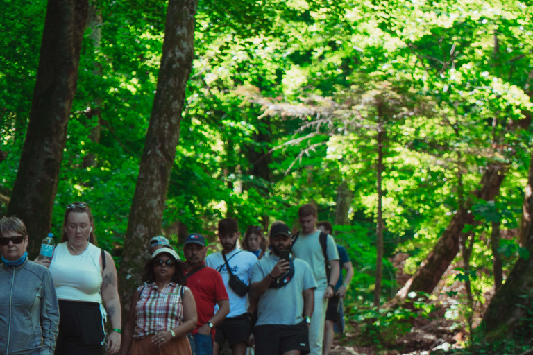 Zadar : Visite guidée des lacs de Plitvice avec billets
