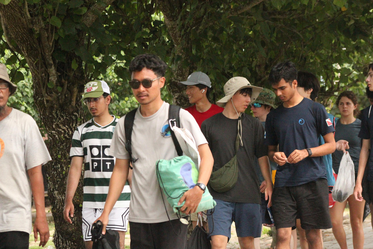 Bagek Kembar: Mangrove & Stingless Beekeeping Experience