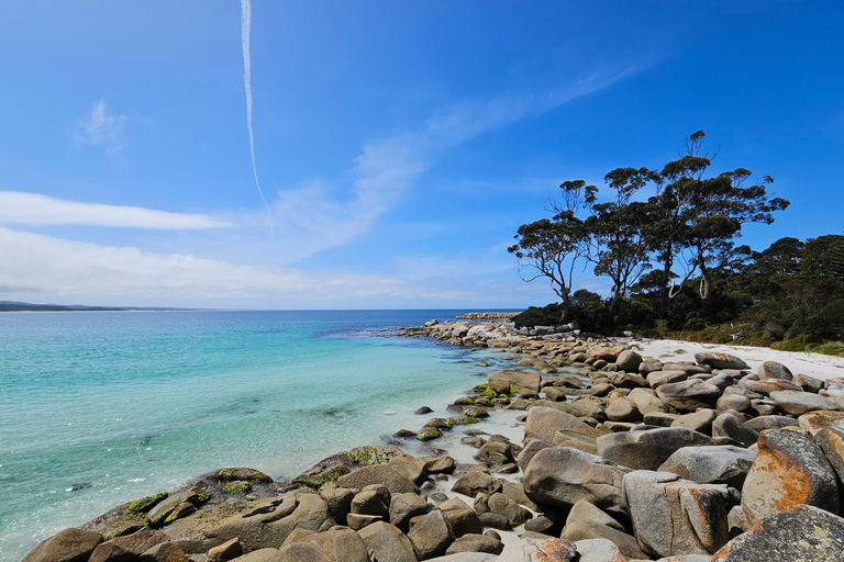 Tour della Tasmania di 9 giorni in cerchio