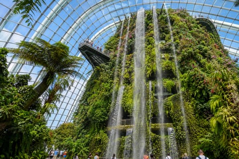 Singapore: Gardens by the Bay & RISE Buffet Guided Tour - Image 2