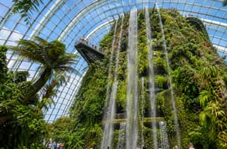Singapur: Geführte Tour mit Buffet zu den Gardens by the Bay und RISE