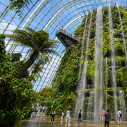Singapore: Gardens by the Bay & RISE Buffet Guided Tour Singapore: Gardens by the Bay & RISE Buffet Guided Tour