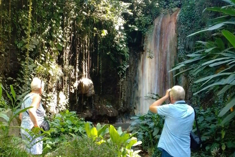 Saint Lucia: Private Tet Paul Nature Trail & Waterfall Tour