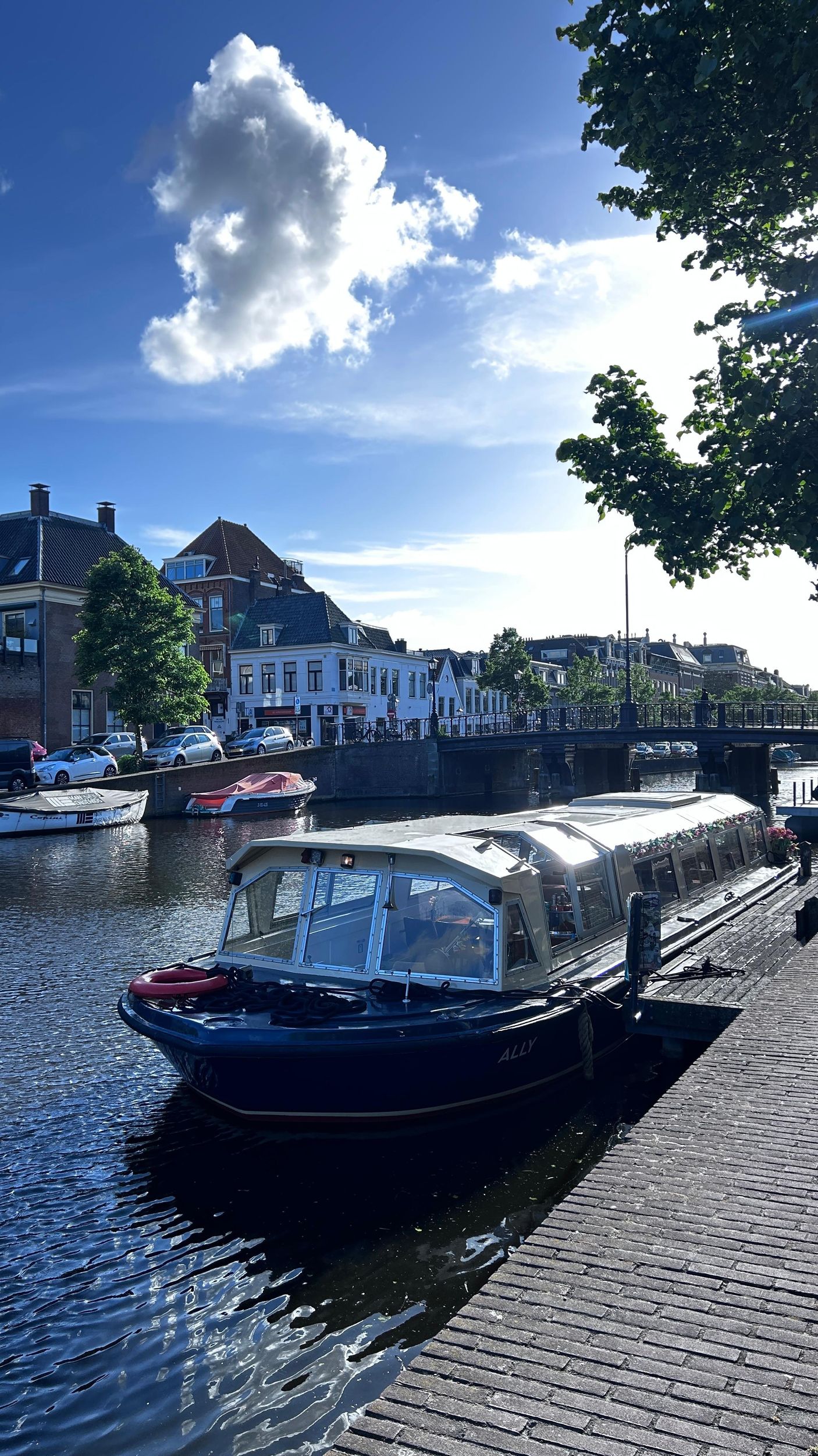 Raucherfreundliche Bootsfahrt in Haarlem: 420-freundlich & Getränke
